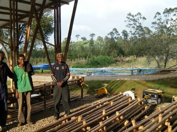 happ carpenters with bamboo